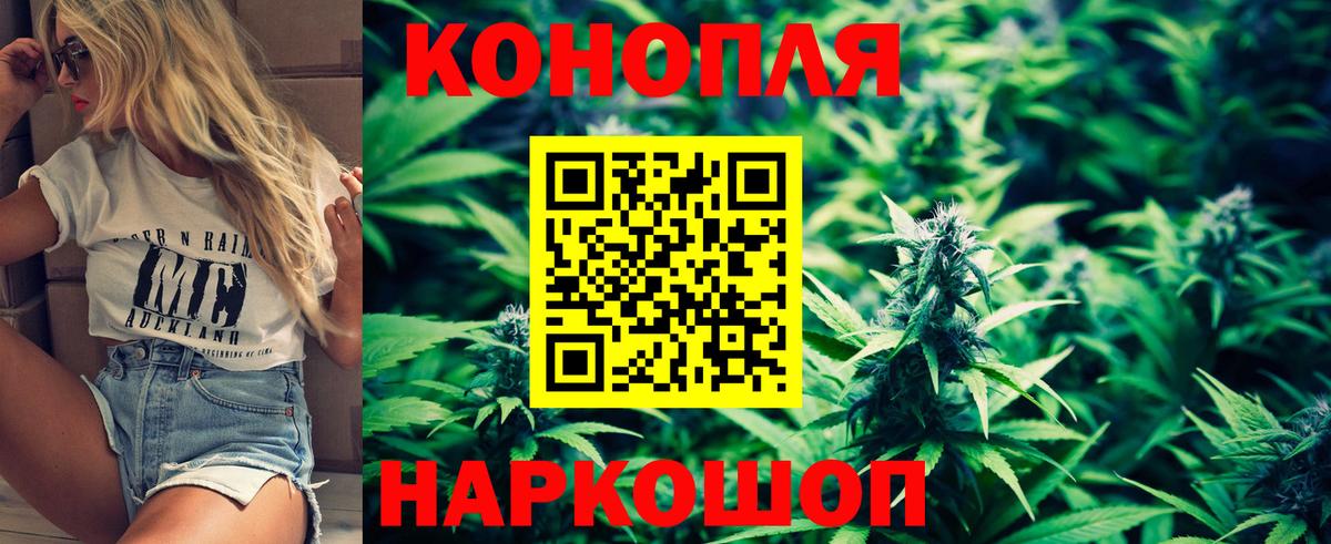 МАРИХУАНА семена Будённовск